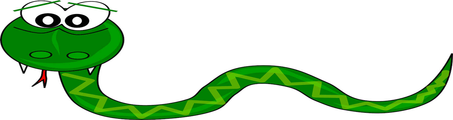 python python